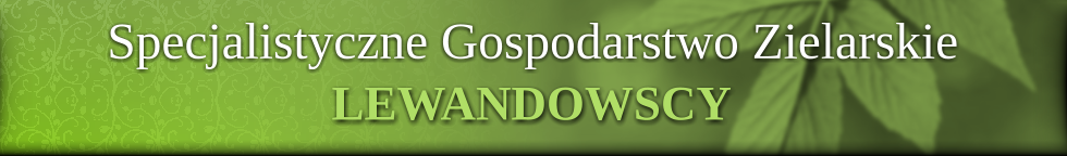 Specjalistyczne Gospodarstwo Zielarskie Lewandowscy